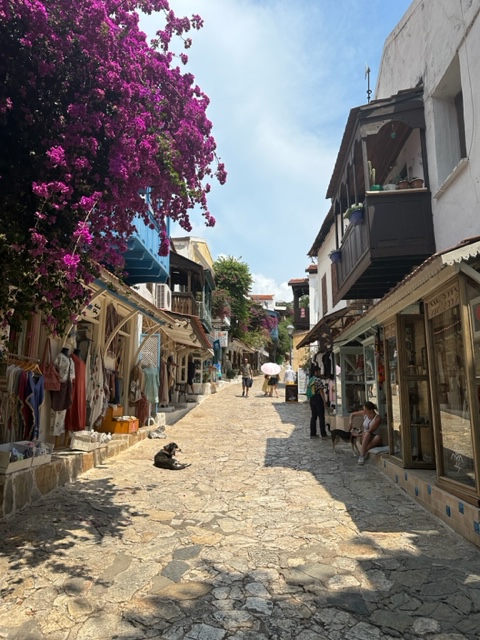 Update on Buying a Boat: Azure in&nbsp;August